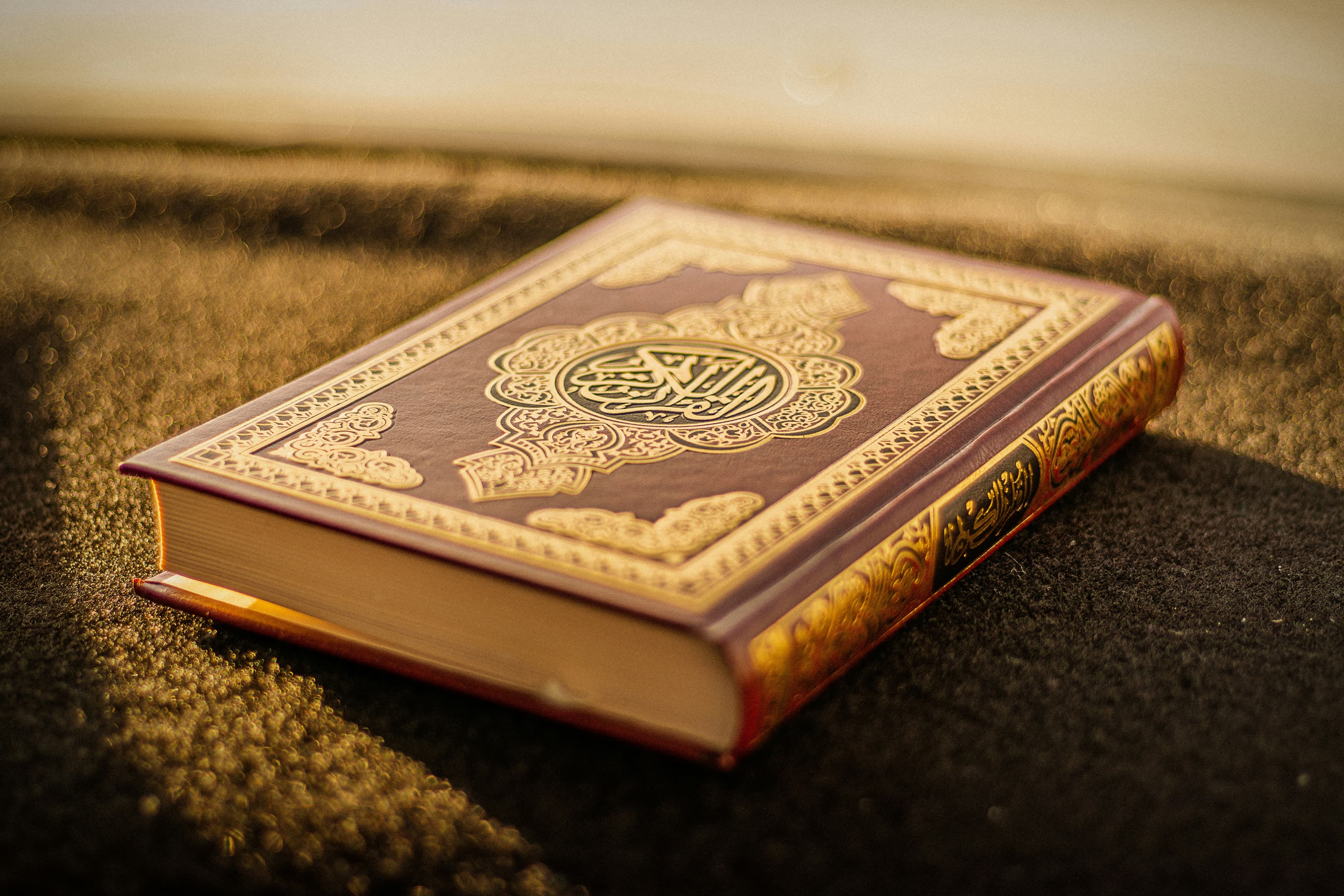 The Holy Quran